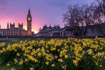 UK & Ireland Universities